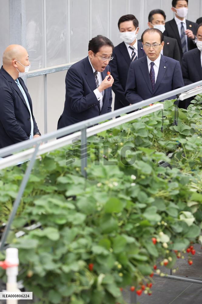 Japan PM Kishida visits disaster-hit Fukushima town