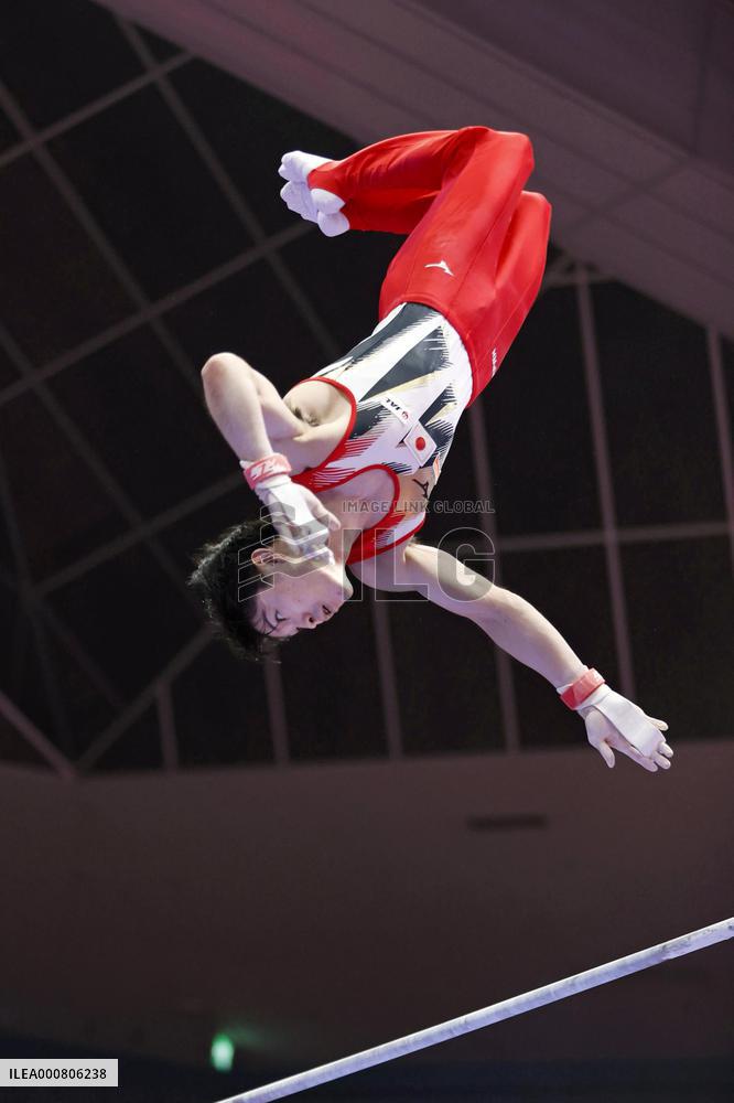 Gymnastics: World championships