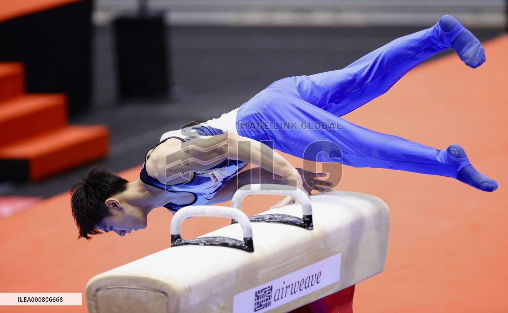 Artistic gymnastics: World championships