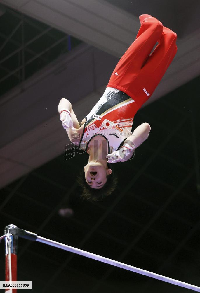 Artistic gymnastics: World championships