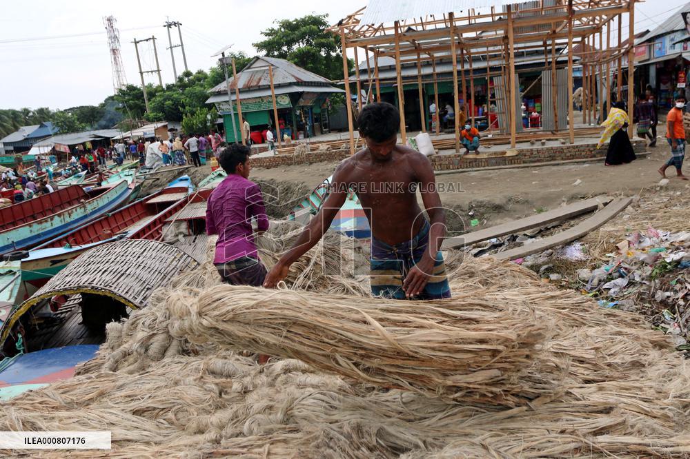 Women Harvest Jute In This Season Of The Year