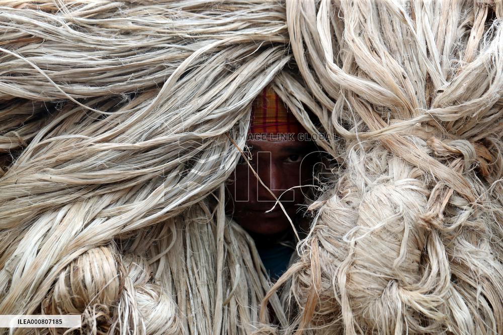 Women Harvest Jute In This Season Of The Year