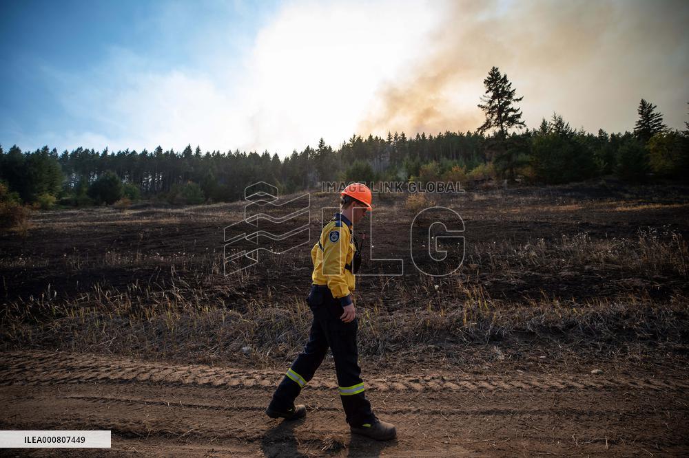 White Rock Lake Wildfire Aftermath - Canada