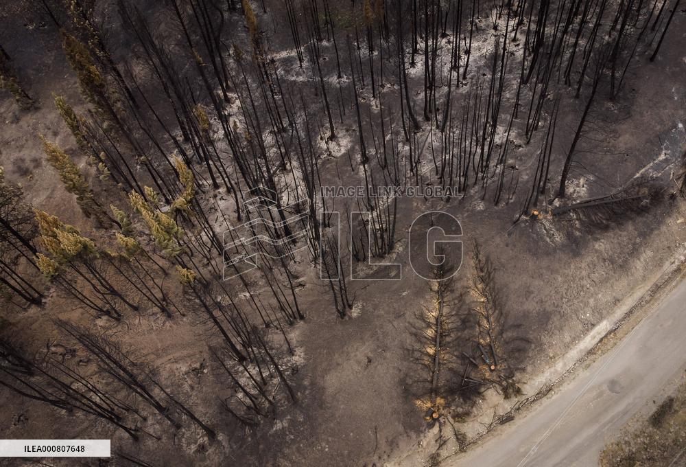 White Rock Lake Wildfire Aftermath - Canada