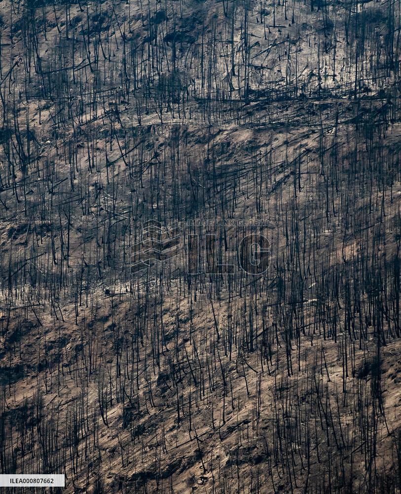 White Rock Lake Wildfire Aftermath - Canada
