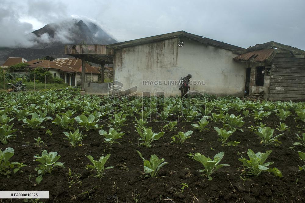 Agricultural working continue in abandoned Gamber village