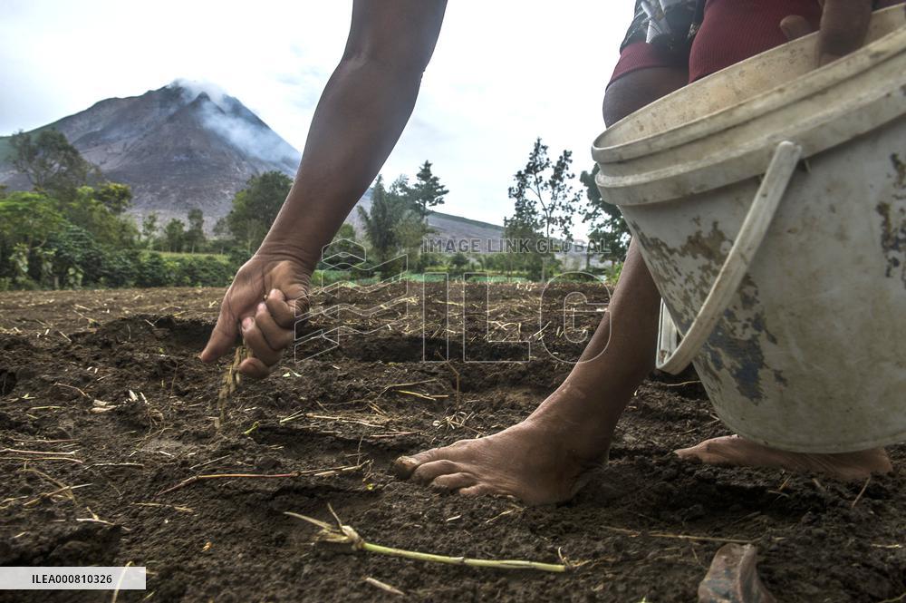 Agricultural working continue in abandoned Gamber village