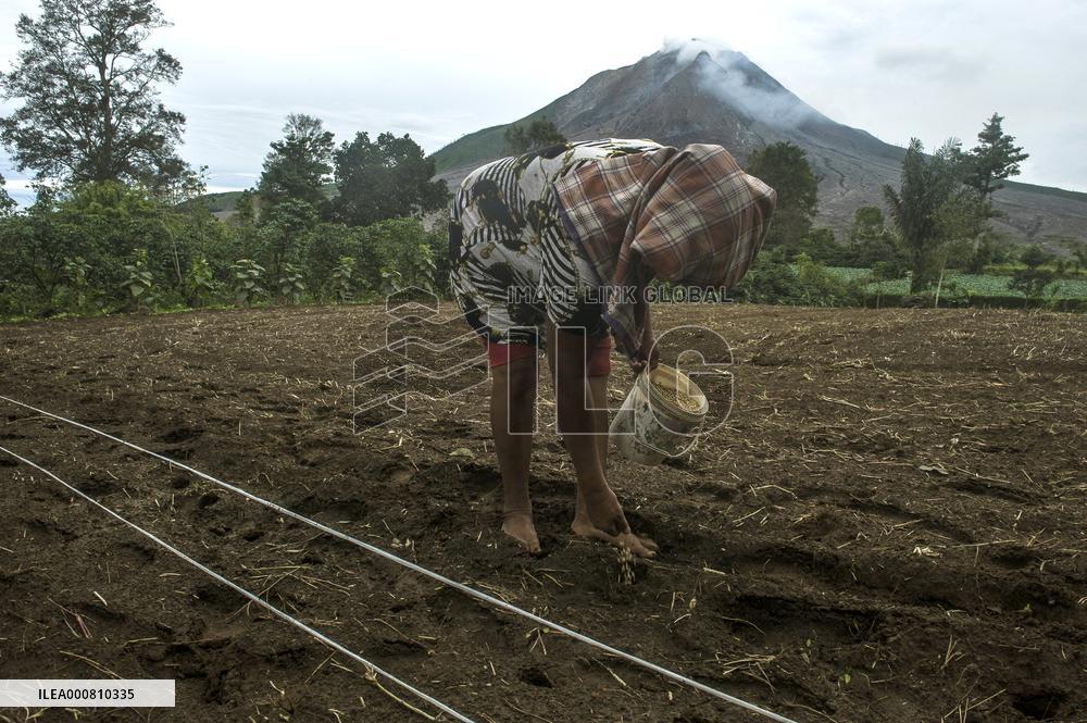 Agricultural working continue in abandoned Gamber village