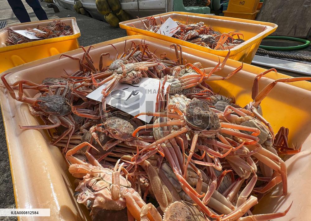 Snow crab fishing in Japan