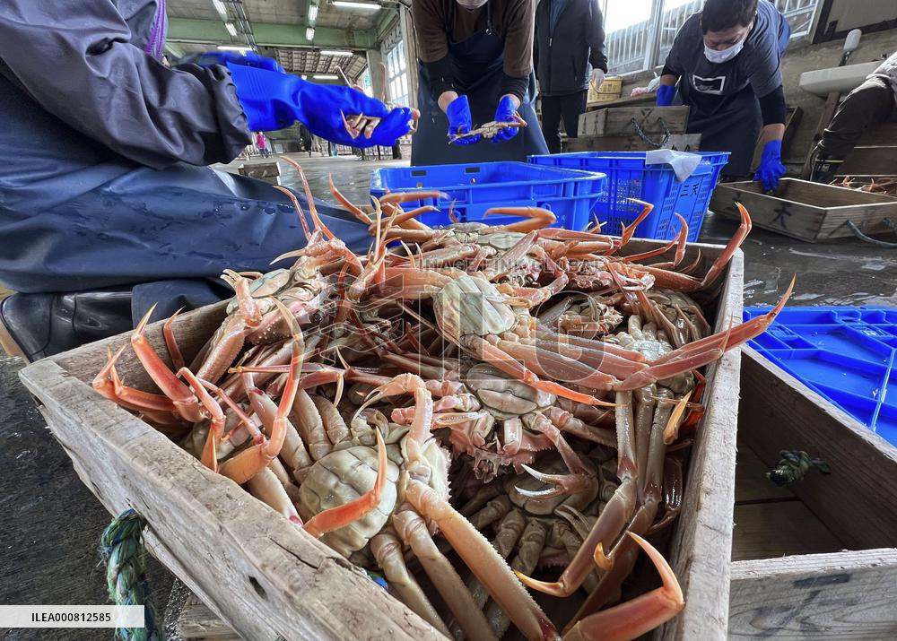Snow crab fishing in Japan