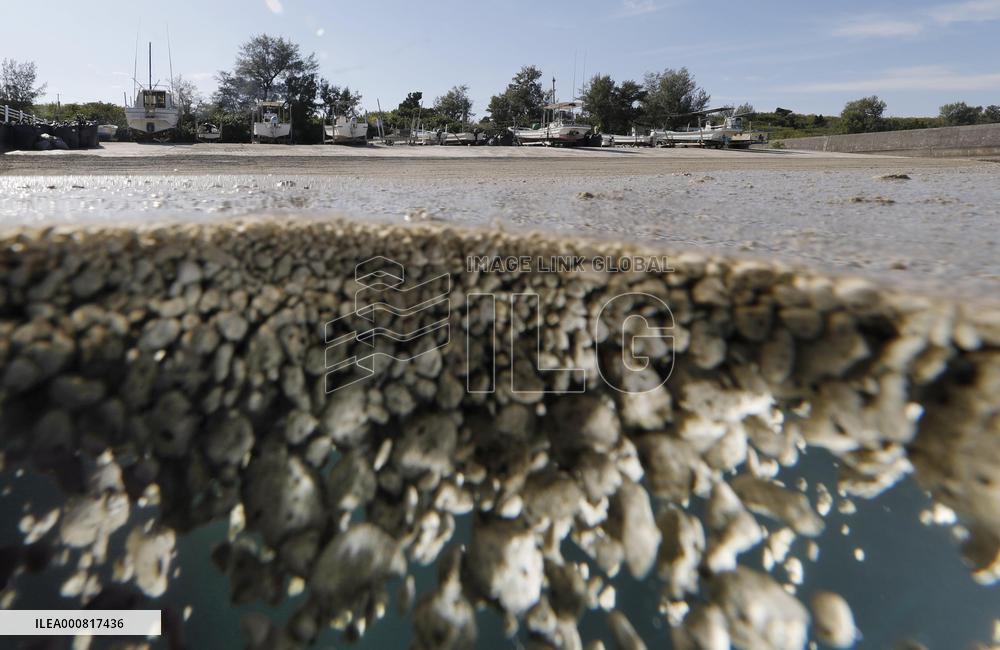 Massive amount of pumice stones in sea off Okinawa