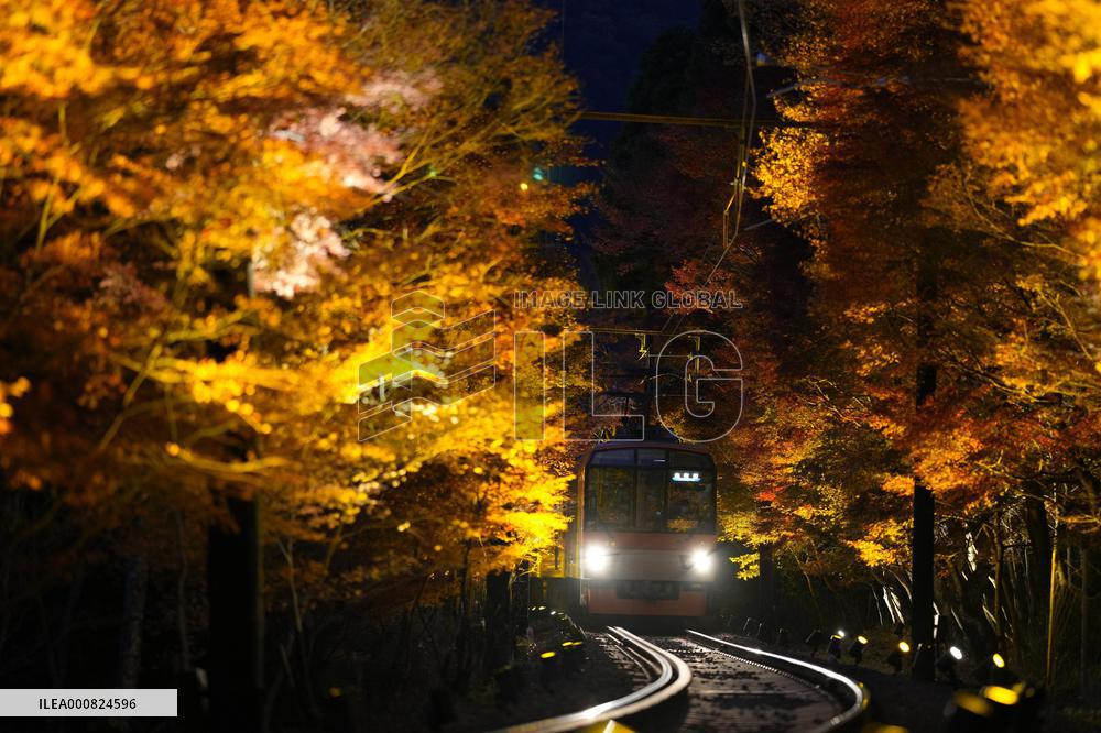 Train travels through maple trees in Kyoto