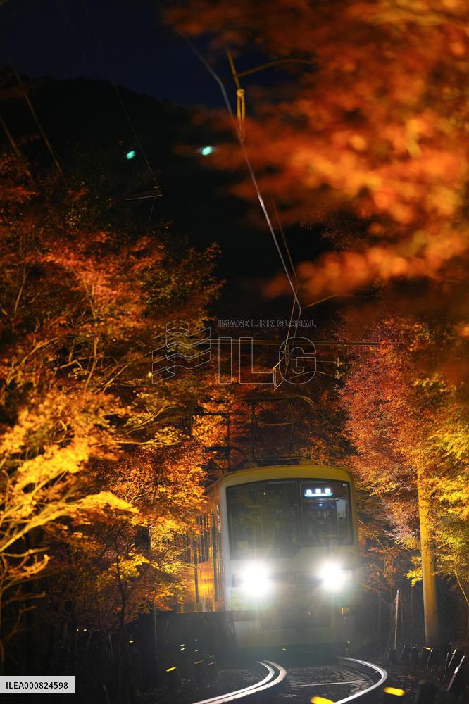 Train travels through maple trees in Kyoto