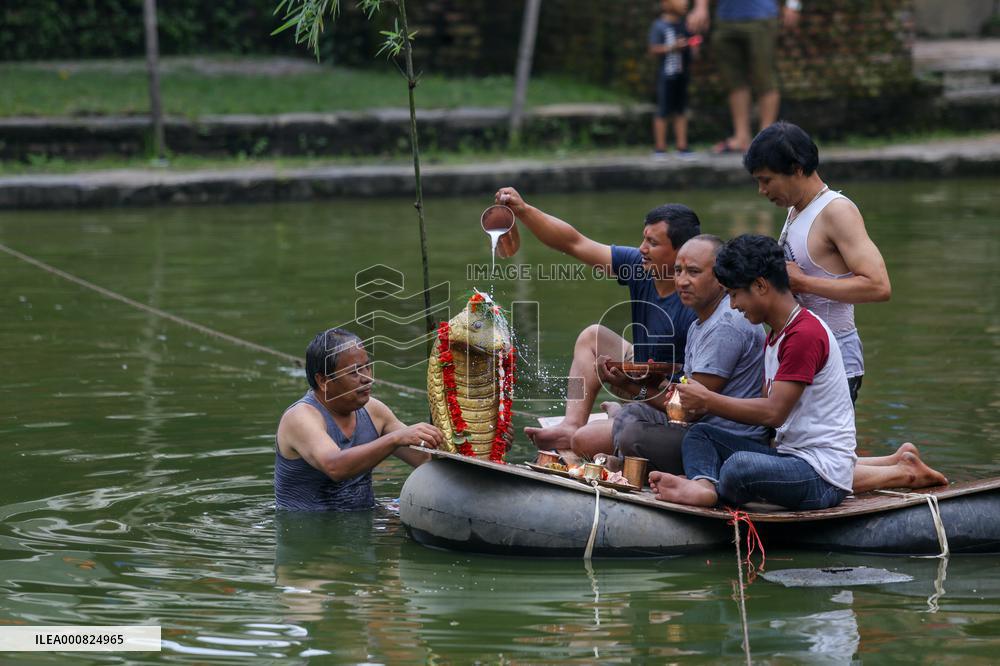 Naag Panchami festival or Snake worship festival being observed