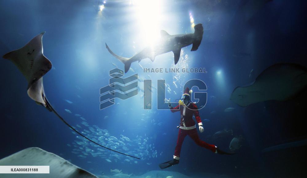 Santa Claus at Osaka aquarium