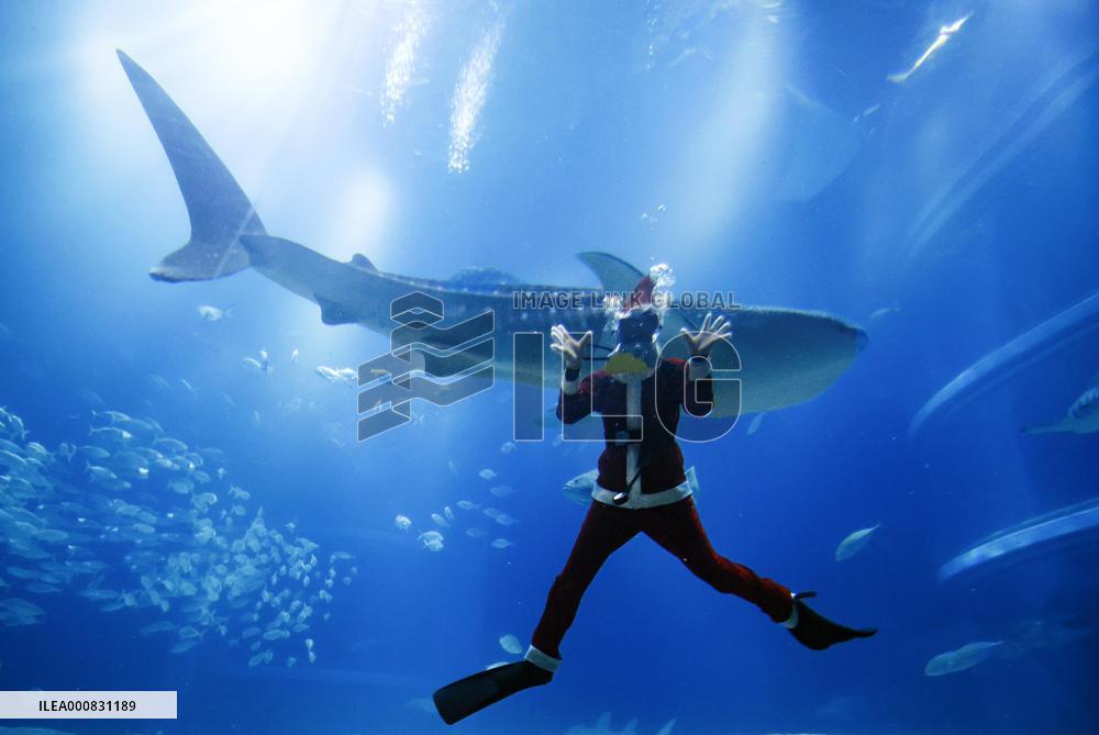 Santa Claus at Osaka aquarium