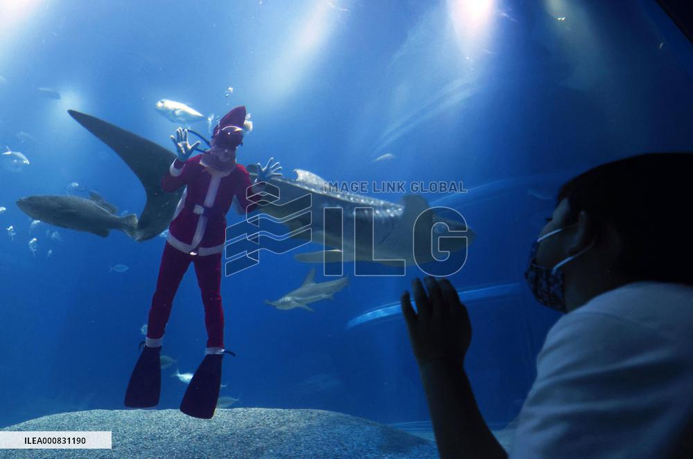 Santa Claus at Osaka aquarium