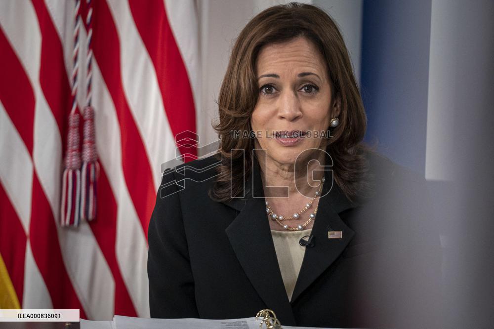 Vice President Kamala Harris Leads a Virtual COVID Summit