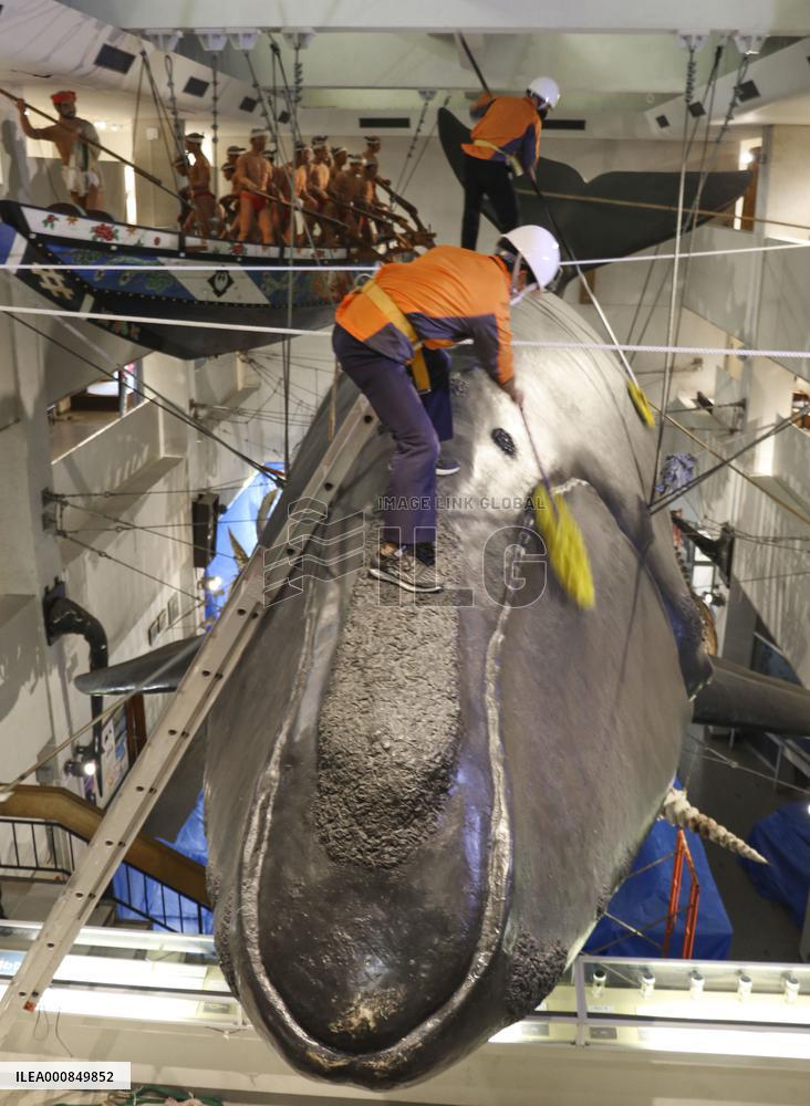 Year-end cleaning at whale museum in western Japan