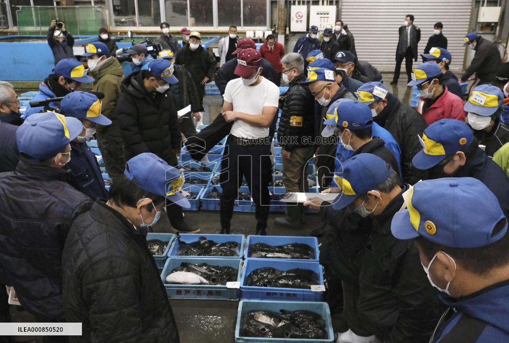 Year's first pufferfish auction in western Japan