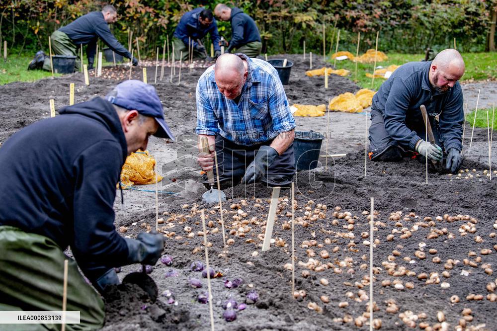 7 Million Flower Bulbs Planted In Keukenhof - Lisse