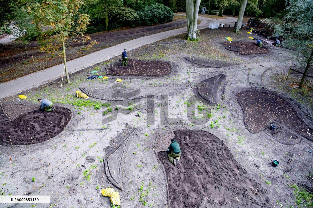 7 Million Flower Bulbs Planted In Keukenhof - Lisse