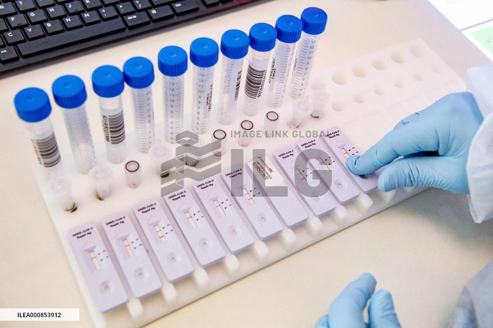 Netherlands Covid Infections Up 44% In A Week