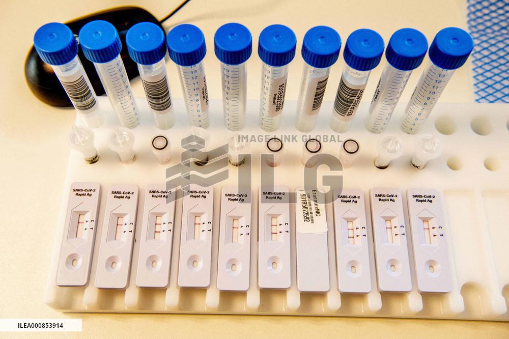 Netherlands Covid Infections Up 44% In A Week