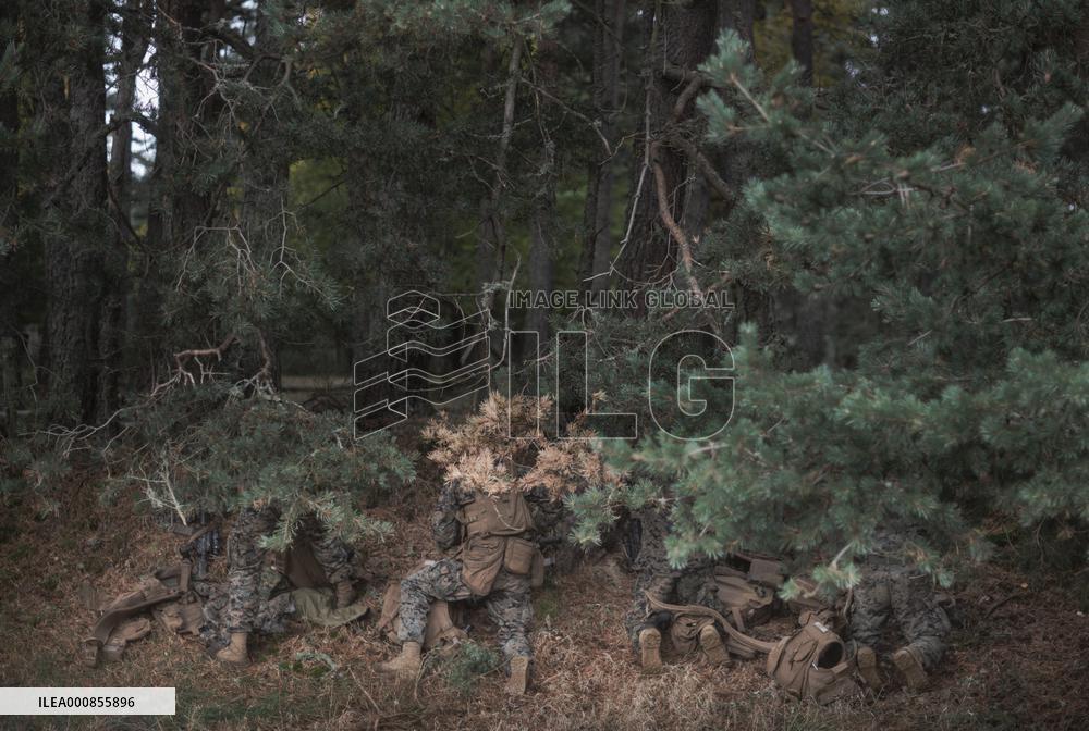 Operation Baccarat Annual Aerocombat Exercise Day 2- France