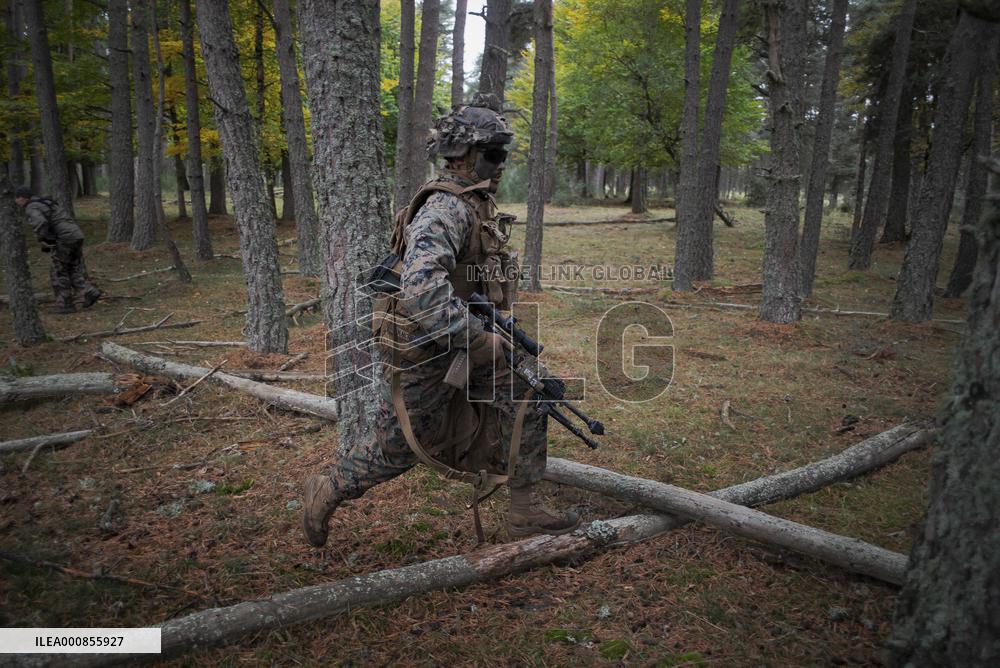 Operation Baccarat Annual Aerocombat Exercise Day 2- France