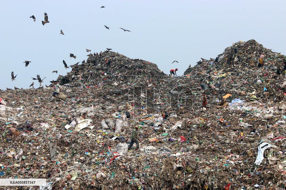 Waste Pickers In Dump Site - Dhaka