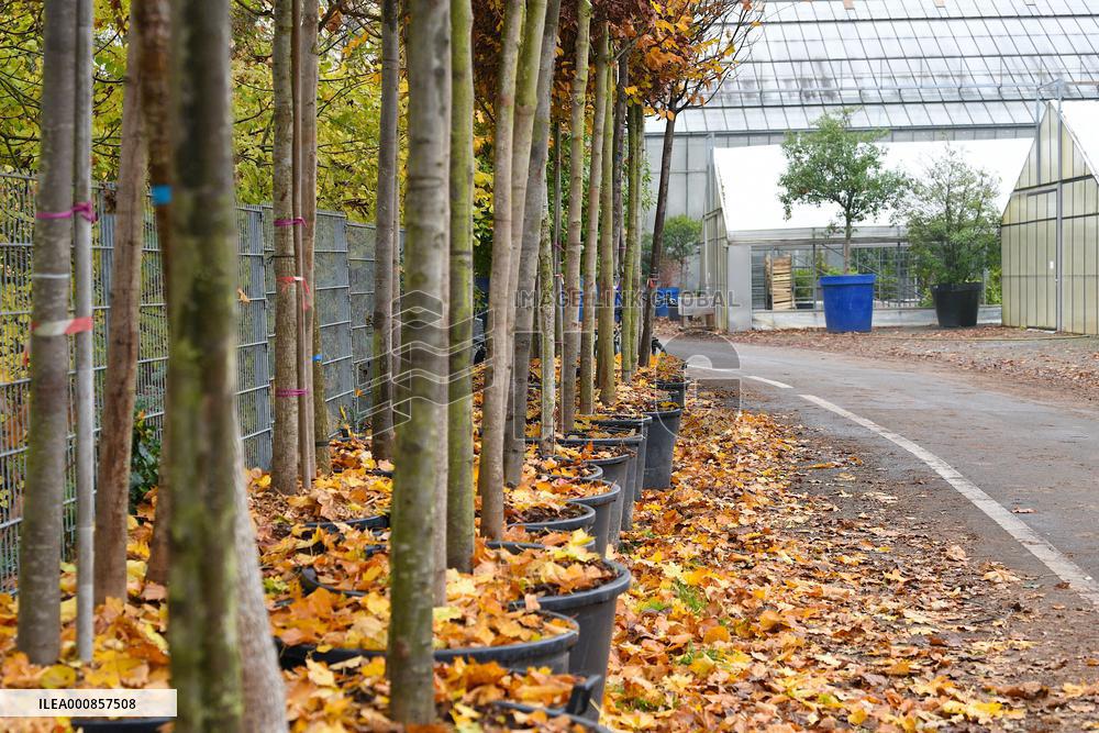 Canopee Plan 10,000 Trees Over Ten Years - Strasbourg