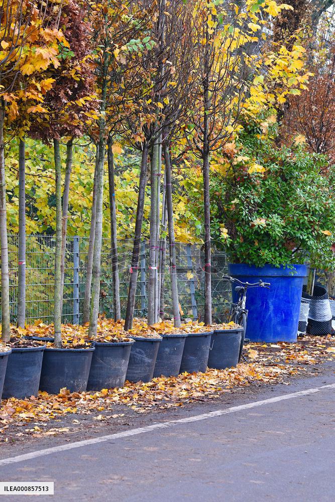 Canopee Plan 10,000 Trees Over Ten Years - Strasbourg