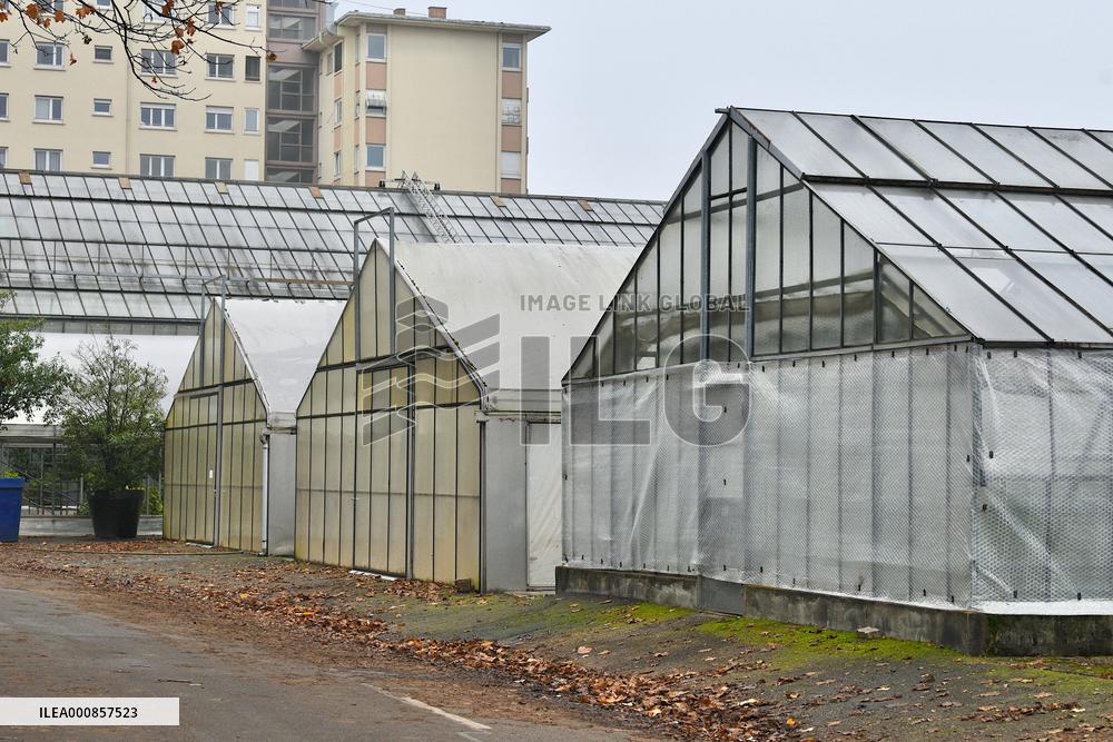 Canopee Plan 10,000 Trees Over Ten Years - Strasbourg