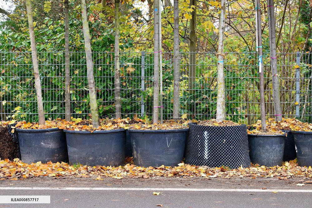 Canopee Plan 10,000 Trees Over Ten Years - Strasbourg