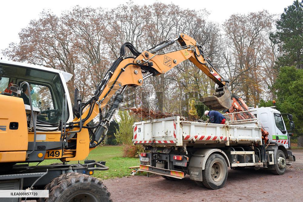 Canopee Plan 10,000 Trees Over Ten Years - Strasbourg