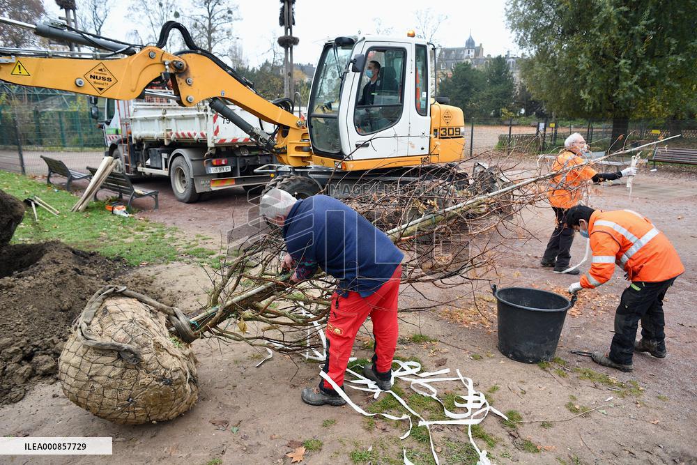 Canopee Plan 10,000 Trees Over Ten Years - Strasbourg