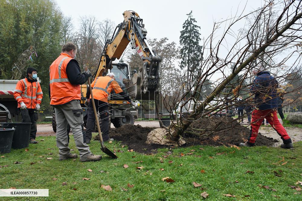 Canopee Plan 10,000 Trees Over Ten Years - Strasbourg