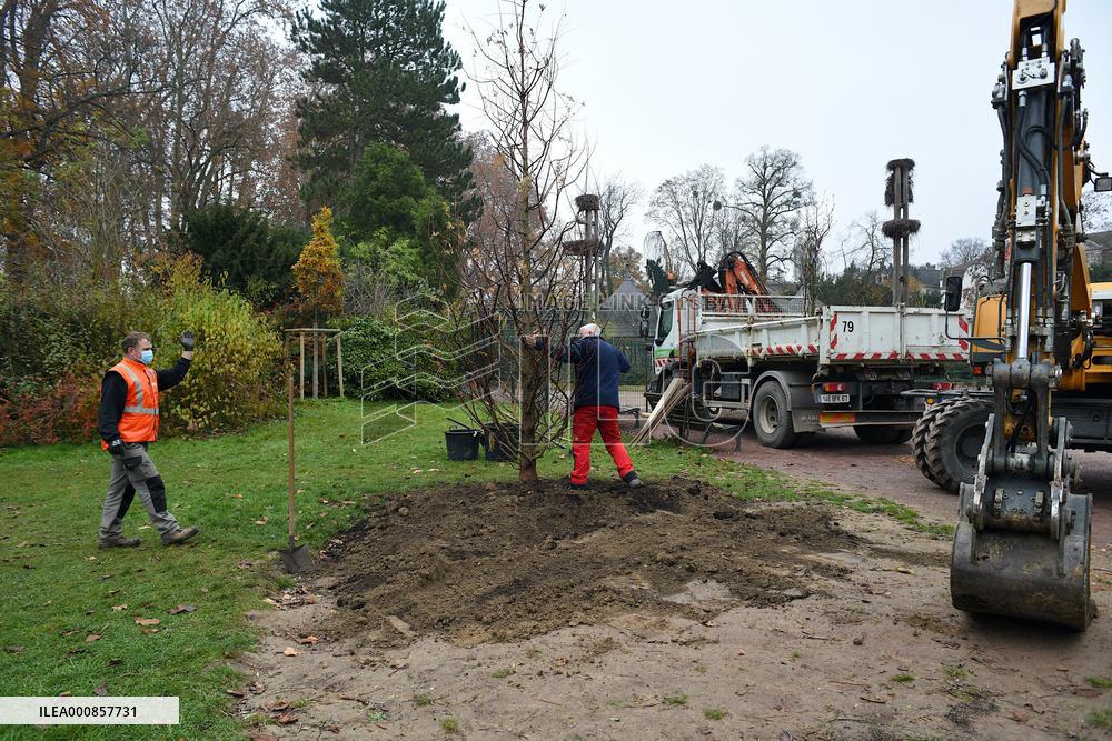 Canopee Plan 10,000 Trees Over Ten Years - Strasbourg