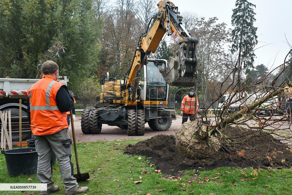 Canopee Plan 10,000 Trees Over Ten Years - Strasbourg