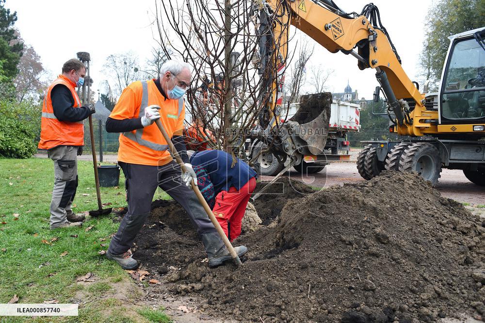 Canopee Plan 10,000 Trees Over Ten Years - Strasbourg