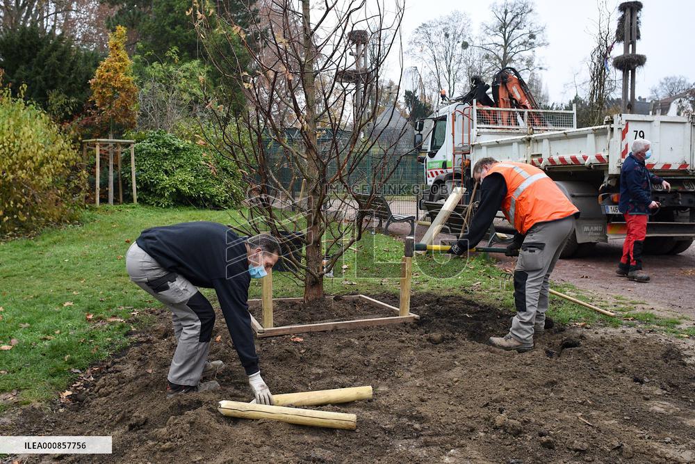 Canopee Plan 10,000 Trees Over Ten Years - Strasbourg
