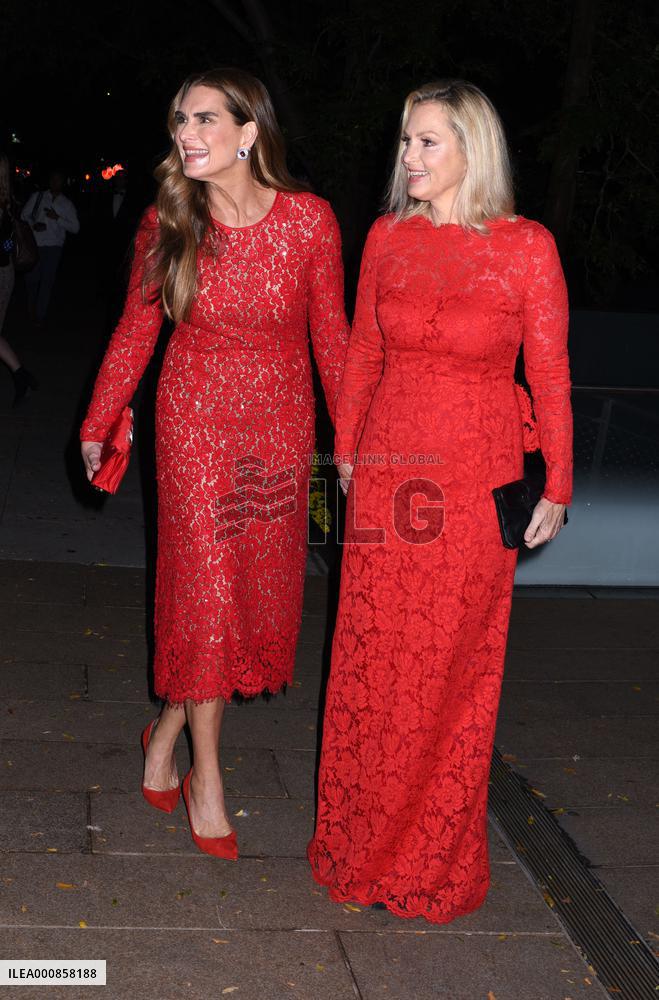 American Ballet Theatres Fall Gala Outside Arrivals - NYC