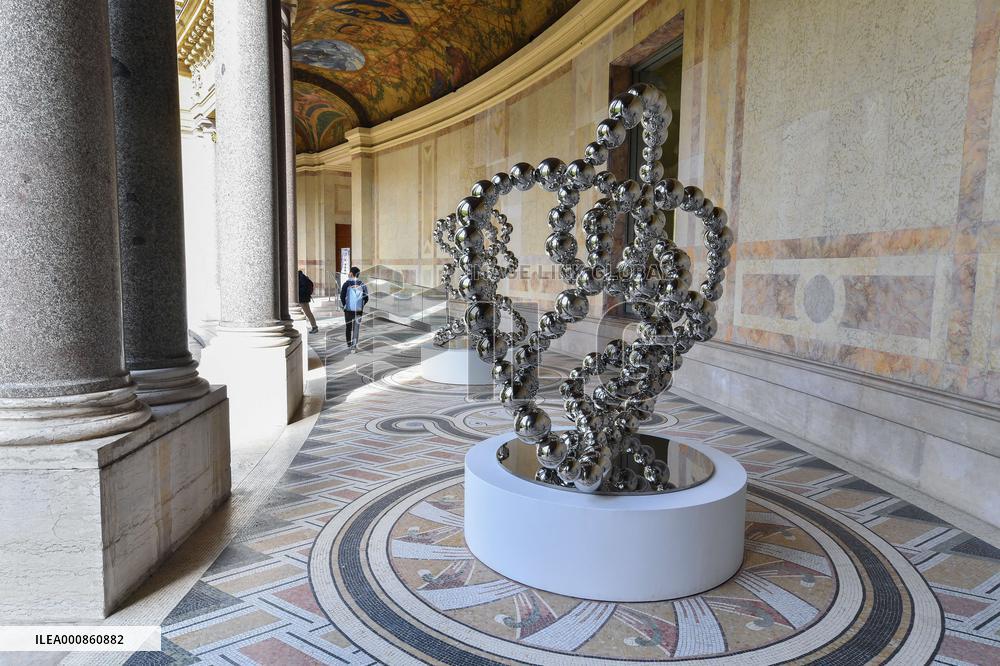 The Narcissus Theorem Exhibition at Petit Palais - Paris