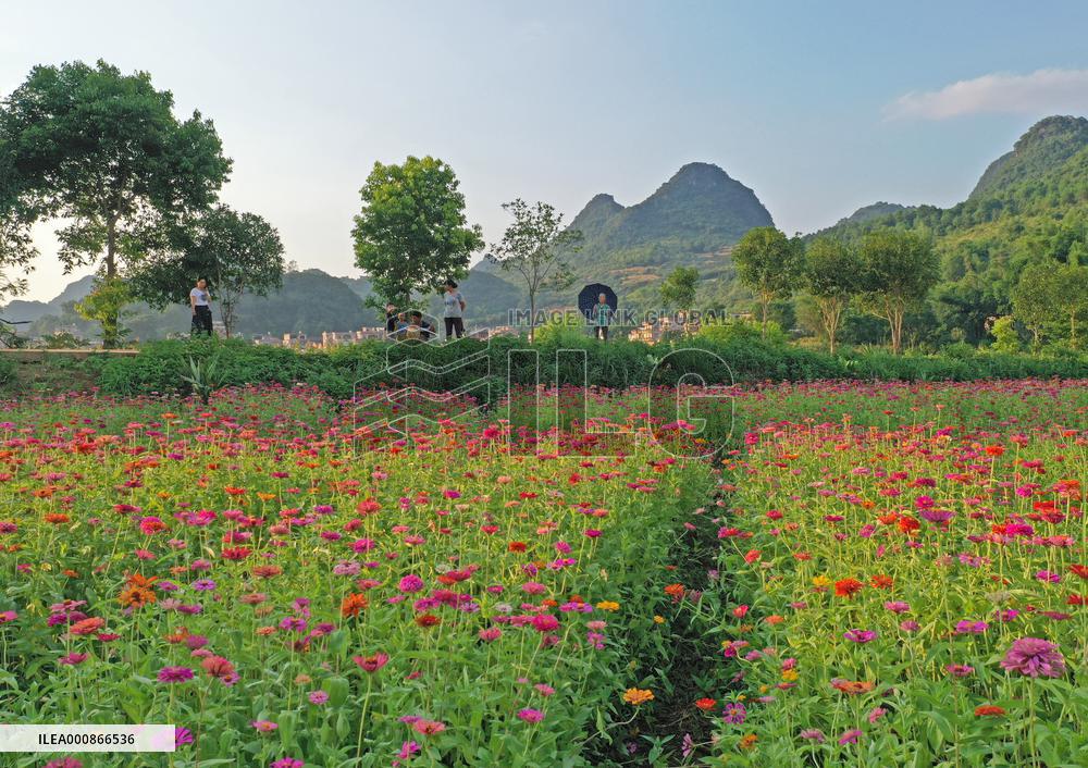 CHINA-GUANGXI-RURAL INDUSTRIES (CN)