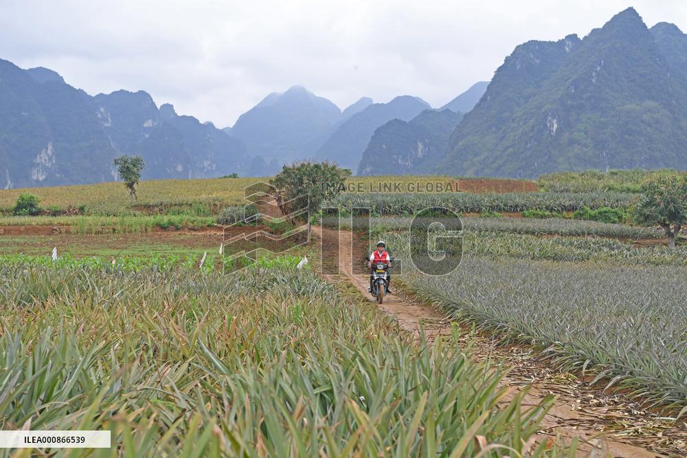 CHINA-GUANGXI-RURAL INDUSTRIES (CN)