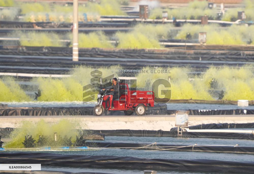 CHINA-GUANGXI-RURAL INDUSTRIES (CN)