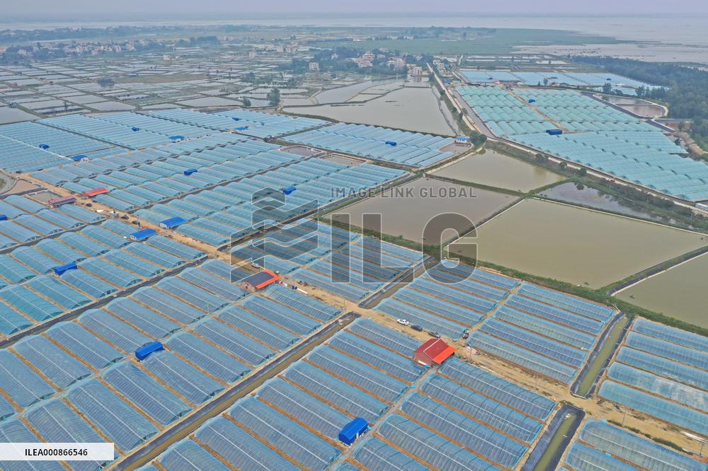 CHINA-GUANGXI-RURAL INDUSTRIES (CN)