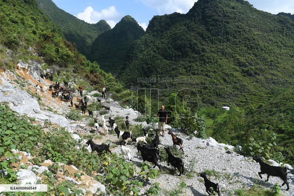 CHINA-GUANGXI-RURAL INDUSTRIES (CN)