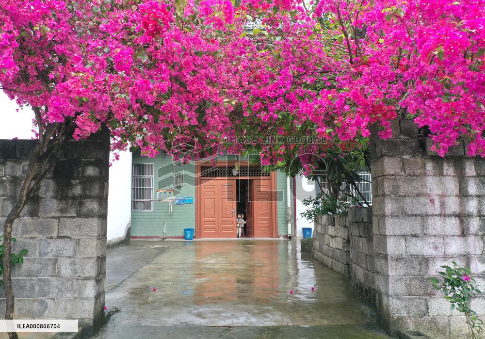 CHINA-GUANGXI-RURAL REVITALIZATION (CN)